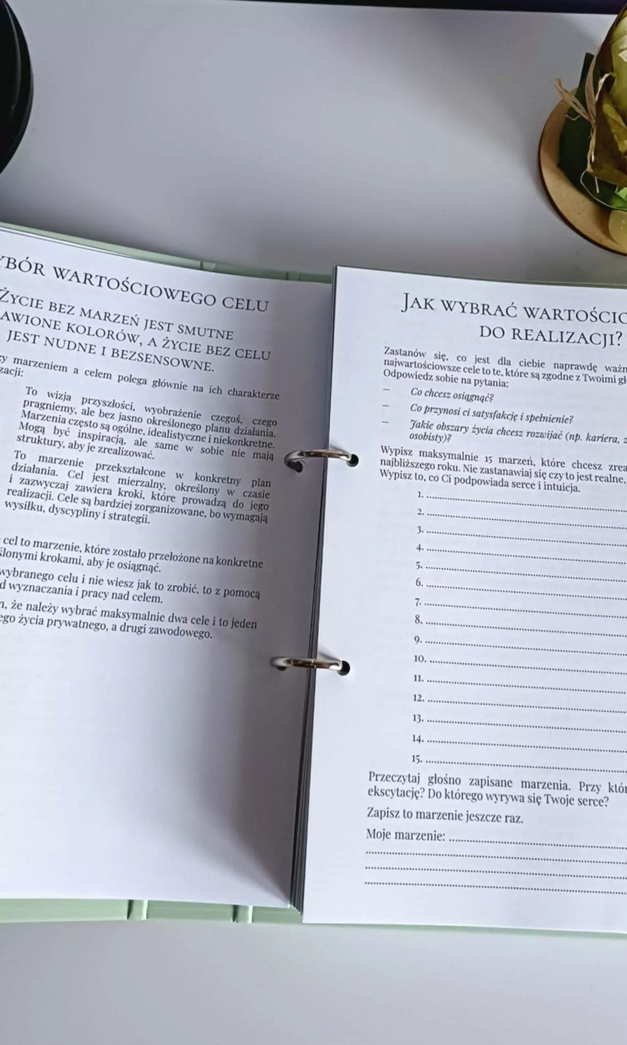 OPS wybór celu OPS - Osobisty Planer Sukcesu "O 1% lepiej każdego dnia!"